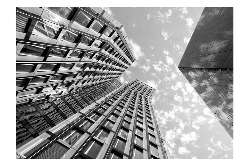 Fototapet Reach For The Sky 300x210 - Artgeist sp. z o. o. - Inredning - Väggdekor - Tapet & tapettillbehör - Fototapet