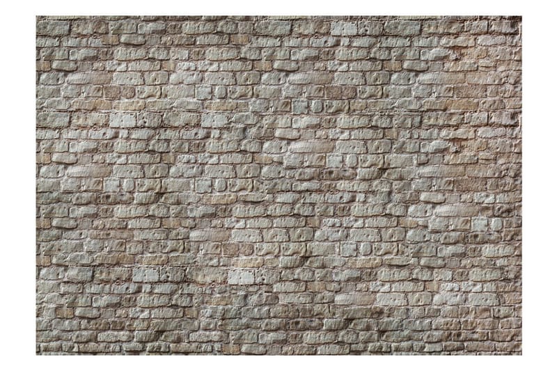 Fototapet Reality 300x210 - Artgeist sp. z o. o. - Inredning - Väggdekor - Tapet & tapettillbehör - Fototapet