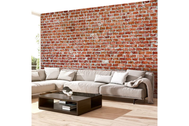 Fototapet Red Rock 350x245 - Artgeist sp. z o. o. - Inredning - Väggdekor - Tapet & tapettillbehör - Fototapet