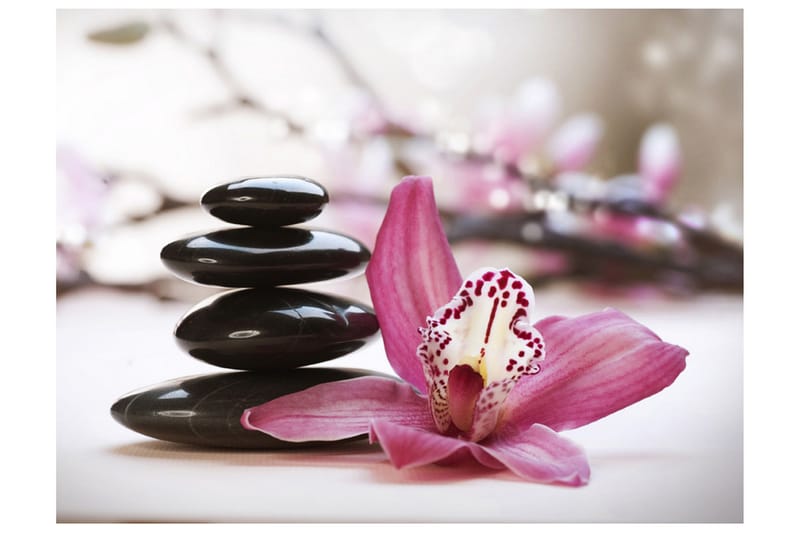 Fototapet Relaxation And Wellness 350x270 - Artgeist sp. z o. o. - Inredning - Väggdekor - Tapet & tapettillbehör - Fototapet