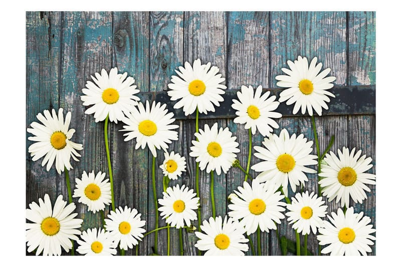 Fototapet Return To The Innocence 150x105 - Artgeist sp. z o. o. - Inredning - Väggdekor - Tapet & tapettillbehör - Fototapet