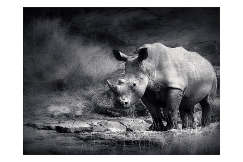 Fototapet Rhino Lost In Dreams 200x154 - Artgeist sp. z o. o. - Inredning - Väggdekor - Tapet & tapettillbehör - Fototapet