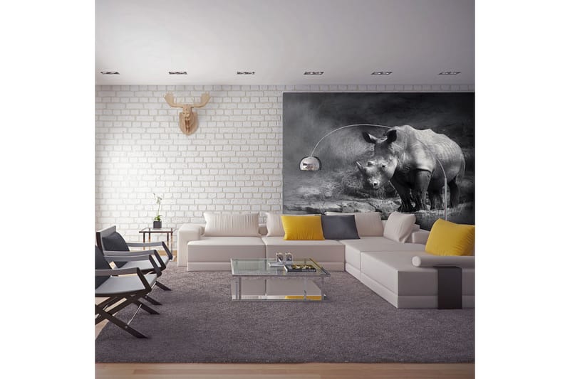 Fototapet Rhino Lost In Dreams 250x193 - Artgeist sp. z o. o. - Inredning - Väggdekor - Tapet & tapettillbehör - Fototapet