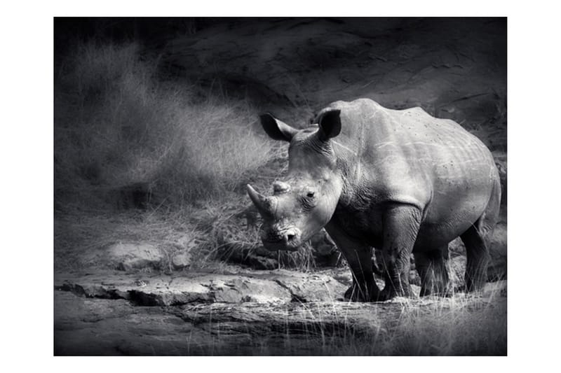 Fototapet Rhino Lost In Dreams 250x193 - Artgeist sp. z o. o. - Inredning - Väggdekor - Tapet & tapettillbehör - Fototapet