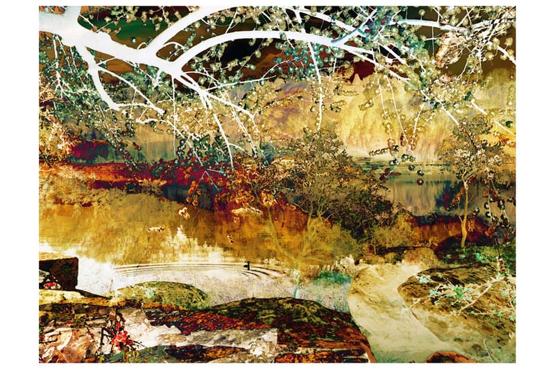 Fototapet River Of Life 200x154, Artgeist sp. z o. o.