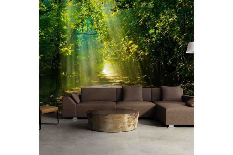 Fototapet Road In Sunlight 200x140 - Artgeist sp. z o. o. - Inredning - Väggdekor - Tapet & tapettillbehör - Fototapet