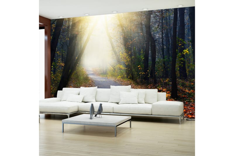 Fototapet Road Through The Forest 100x70, Artgeist sp. z o. o.