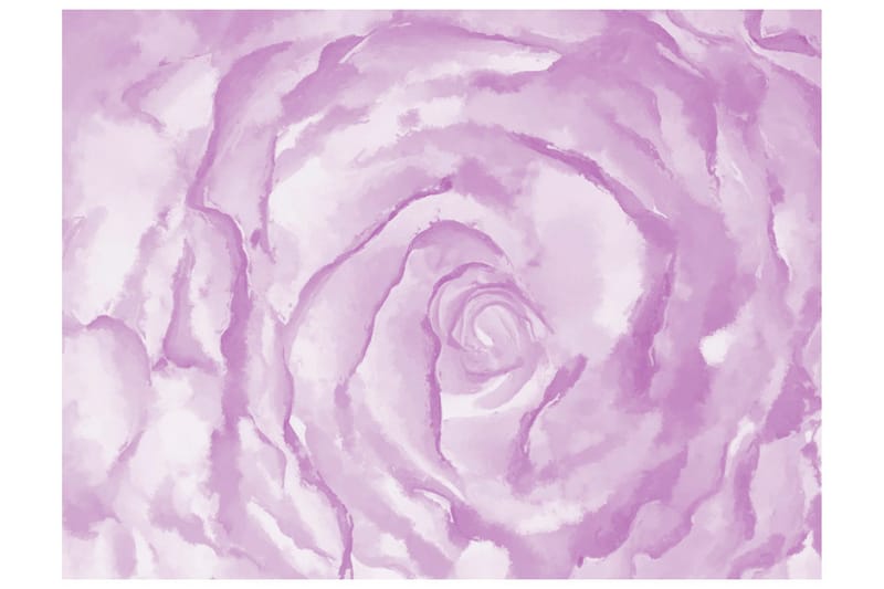 Fototapet Ros Rosa 350x270 - Artgeist sp. z o. o. - Inredning - Väggdekor - Tapet & tapettillbehör - Fototapet