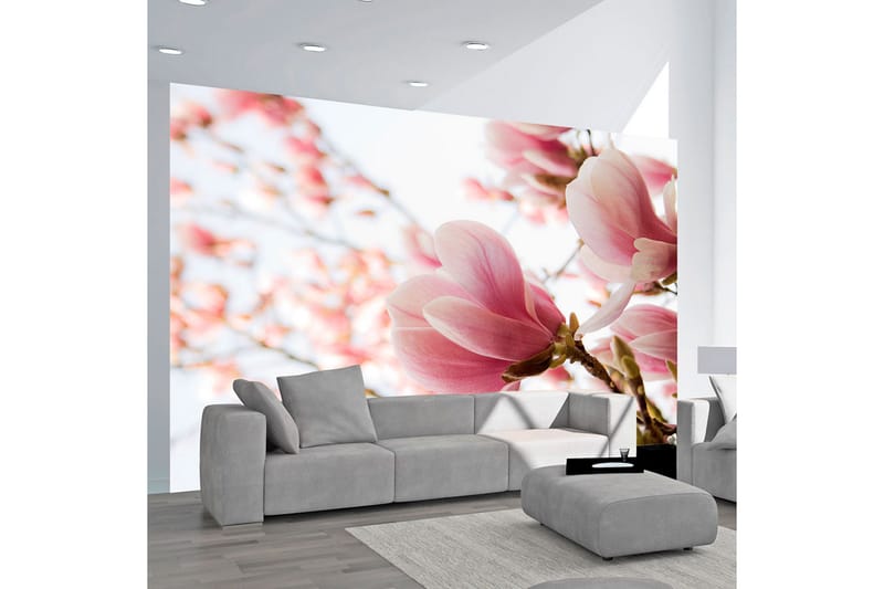 Fototapet Rosa Magnolia 300x231 - Artgeist sp. z o. o. - Inredning - Väggdekor - Tapet & tapettillbehör - Fototapet