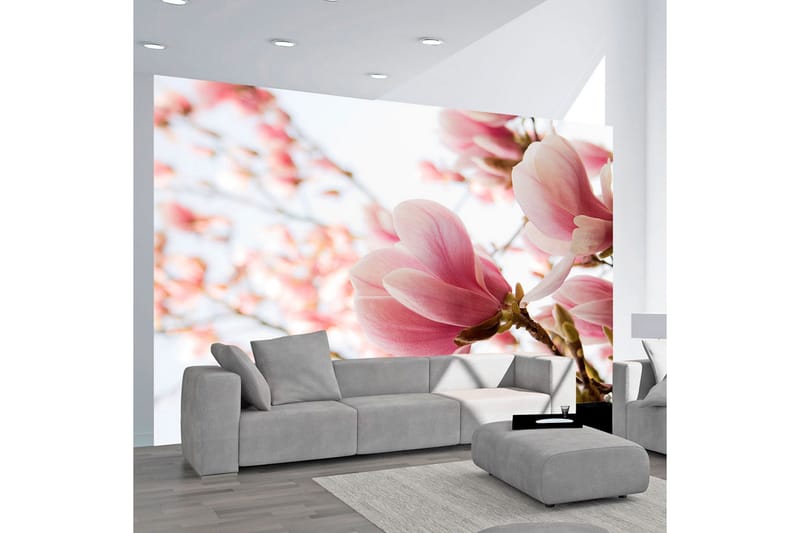 Fototapet Rosa Magnolia 350x270, Artgeist sp. z o. o.