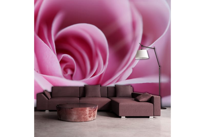 Fototapet Rosa Ros 400x309 - Artgeist sp. z o. o. - Inredning - Väggdekor - Tapet & tapettillbehör - Fototapet