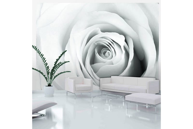 Fototapet Rose Charade 100x70, Artgeist sp. z o. o.