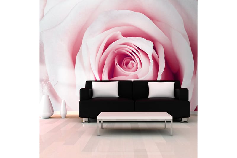 Fototapet Rose Maze 350x245 - Artgeist sp. z o. o. - Inredning - Väggdekor - Tapet & tapettillbehör - Fototapet