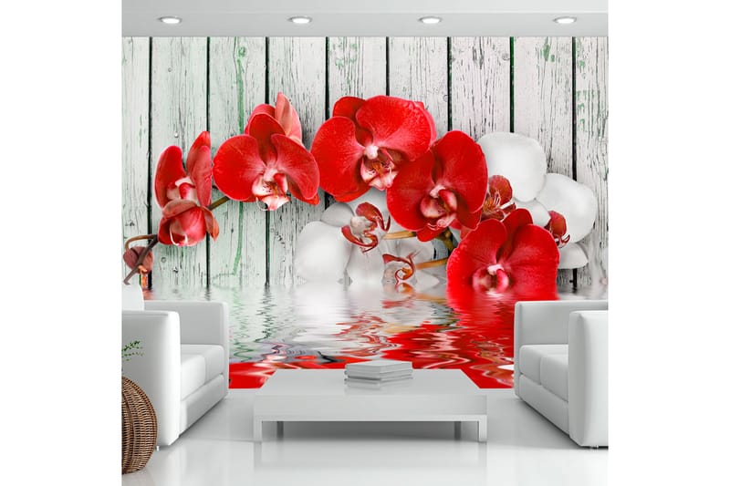 Fototapet Ruby Orchid 300x210 - Artgeist sp. z o. o. - Inredning - Väggdekor - Tapet & tapettillbehör - Fototapet