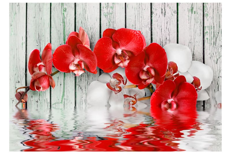 Fototapet Ruby Orchid 300x210 - Artgeist sp. z o. o. - Inredning - Väggdekor - Tapet & tapettillbehör - Fototapet