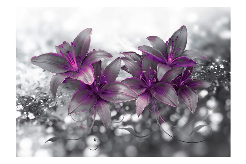 Fototapet Secret Of The Lily 300x210 - Artgeist sp. z o. o. - Inredning - Väggdekor - Tapet & tapettillbehör - Fototapet