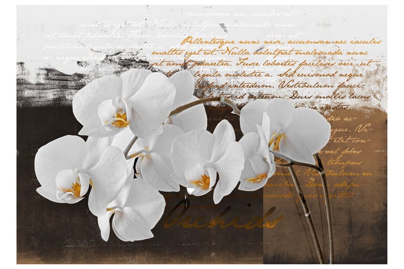 Fototapet Sentimental Thoughts 400x280 - Artgeist sp. z o. o. - Inredning - Väggdekor - Tapet & tapettillbehör - Fototapet
