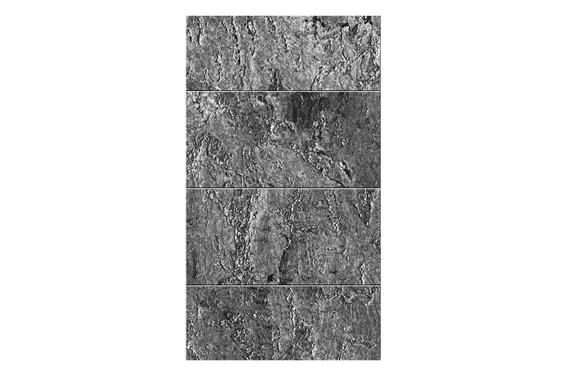 Fototapet Shade Of Grey 50x1000 - Artgeist sp. z o. o. - Inredning - Väggdekor - Tapet & tapettillbehör - Fototapet