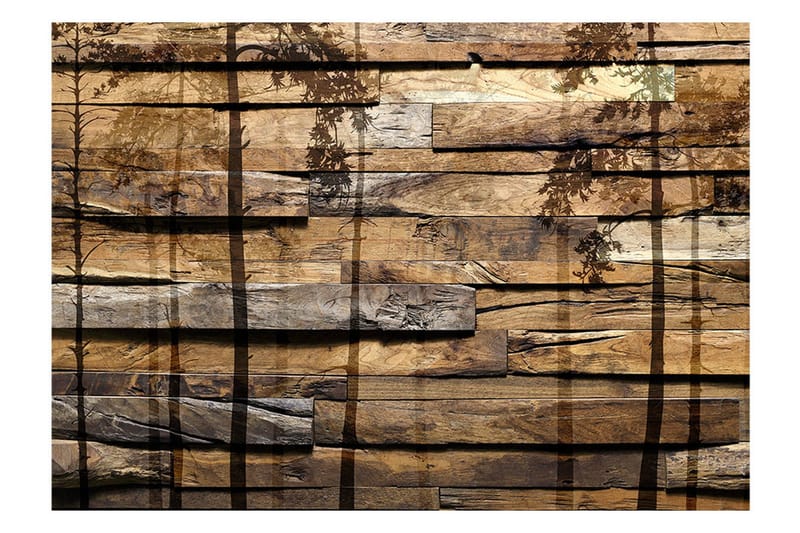 Fototapet Shadow Of Trees 350x245 - Artgeist sp. z o. o. - Inredning - Väggdekor - Tapet & tapettillbehör - Fototapet