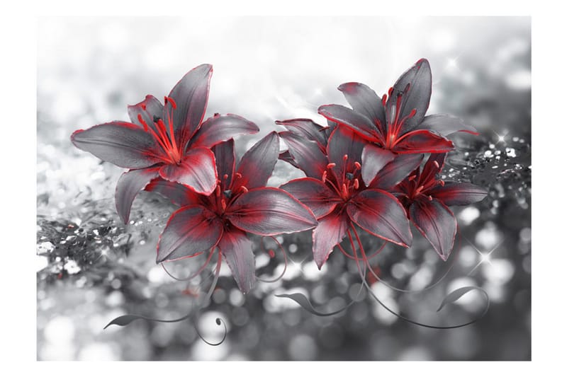 Fototapet Shadow Of Passion 200x140 - Artgeist sp. z o. o. - Inredning - Väggdekor - Tapet & tapettillbehör - Fototapet