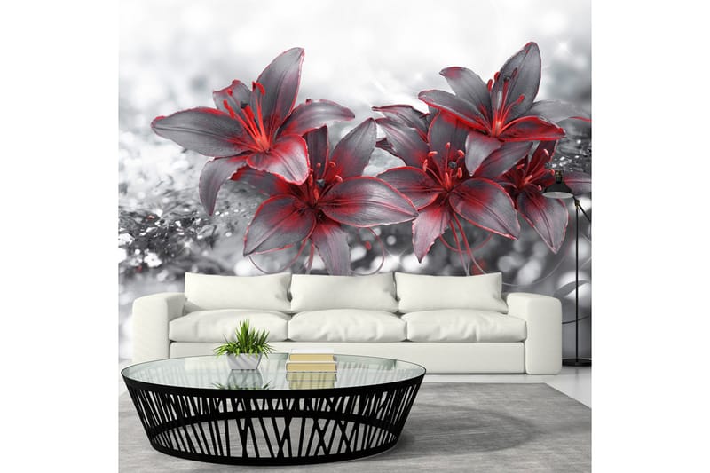 Fototapet Shadow Of Passion 250x175, Artgeist sp. z o. o.