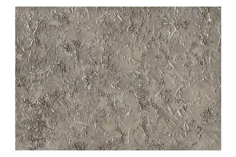 Fototapet Silver Serenade 200x140 - Artgeist sp. z o. o. - Inredning - Väggdekor - Tapet & tapettillbehör - Fototapet