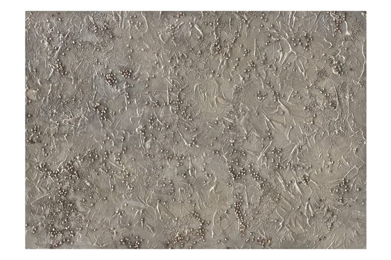 Fototapet Silver Serenade 250x175 - Artgeist sp. z o. o. - Inredning - Väggdekor - Tapet & tapettillbehör - Fototapet