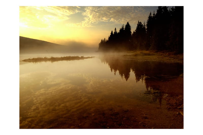 Fototapet Skog Och Sjö 250x193 - Artgeist sp. z o. o. - Inredning - Väggdekor - Tapet & tapettillbehör - Fototapet