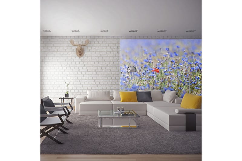 Fototapet Sky-Colored Meadow Cornflowers 200x154 - Artgeist sp. z o. o. - Fototapet