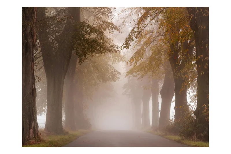 Fototapet Slutpunkt 200x154, Artgeist sp. z o. o.