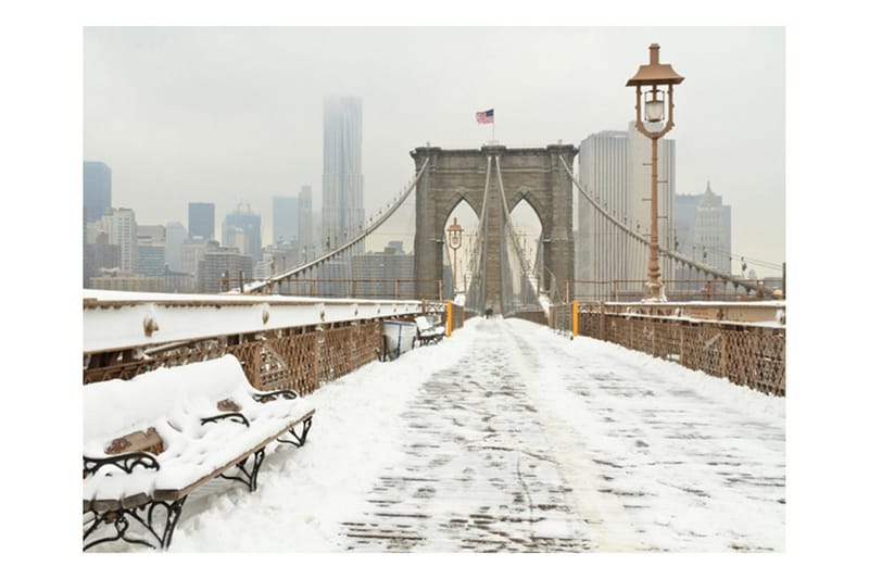 Fototapet Snötäckt Bro New York 250x193 - Artgeist sp. z o. o. - Inredning - Väggdekor - Tapet & tapettillbehör - Fototapet