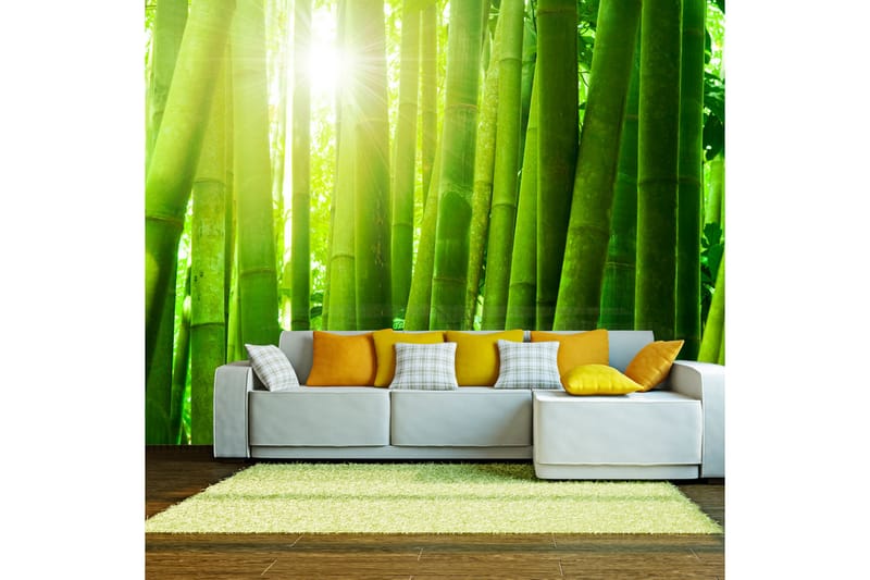 Fototapet Sol Och Bambu 300x231 - Artgeist sp. z o. o. - Inredning - Väggdekor - Tapet & tapettillbehör - Fototapet