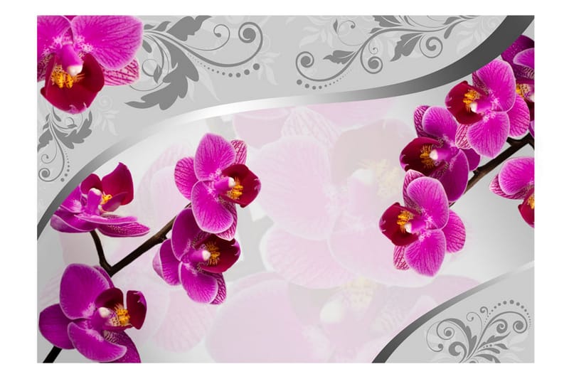 Fototapet Solace 300x210 - Artgeist sp. z o. o. - Inredning - Väggdekor - Tapet & tapettillbehör - Fototapet