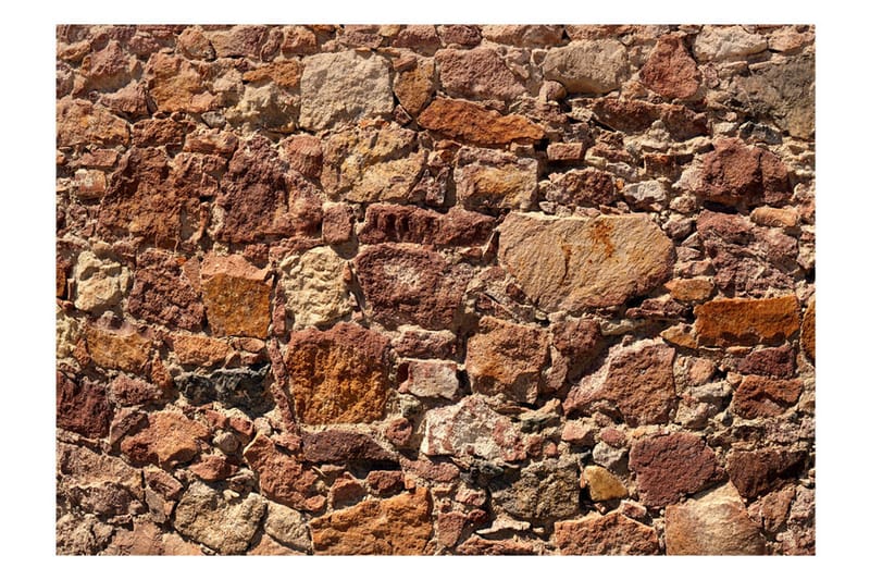 Fototapet Solar Armor 100x70 - Artgeist sp. z o. o. - Inredning - Väggdekor - Tapet & tapettillbehör - Fototapet