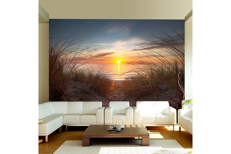 Fototapet Solnedgång Över Atlanten 250x193, Artgeist sp. z o. o.