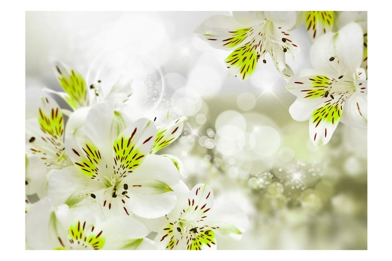 Fototapet Southern Princess 300x210 - Artgeist sp. z o. o. - Inredning - Väggdekor - Tapet & tapettillbehör - Fototapet