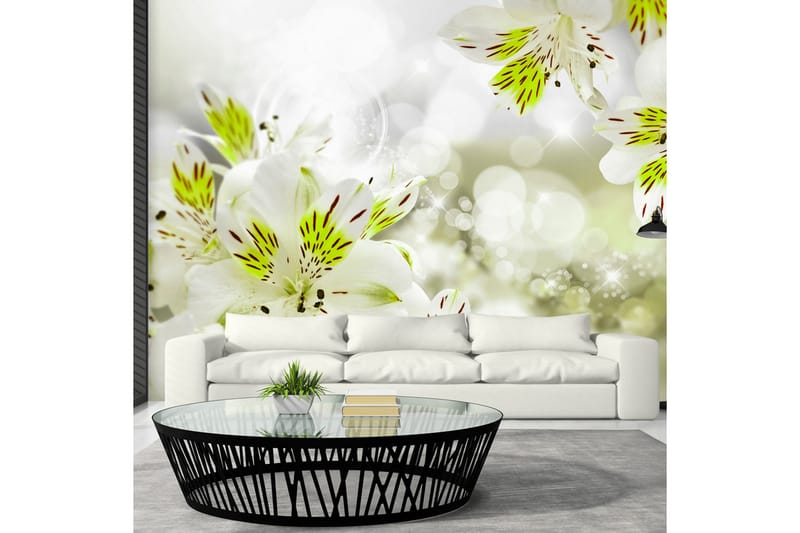 Fototapet Southern Princess 300x210, Artgeist sp. z o. o.