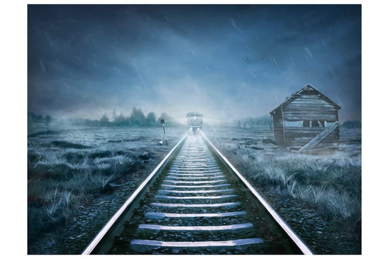 Fototapet Spöktåget 300x231 - Artgeist sp. z o. o. - Inredning - Väggdekor - Tapet & tapettillbehör - Fototapet