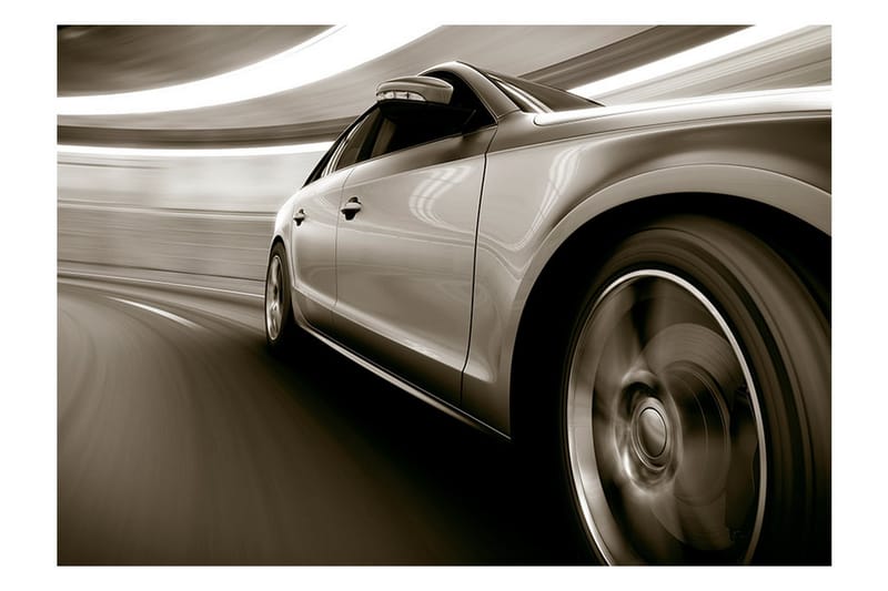 Fototapet Speed And Elegance 100x70 - Artgeist sp. z o. o. - Inredning - Väggdekor - Tapet & tapettillbehör - Fototapet