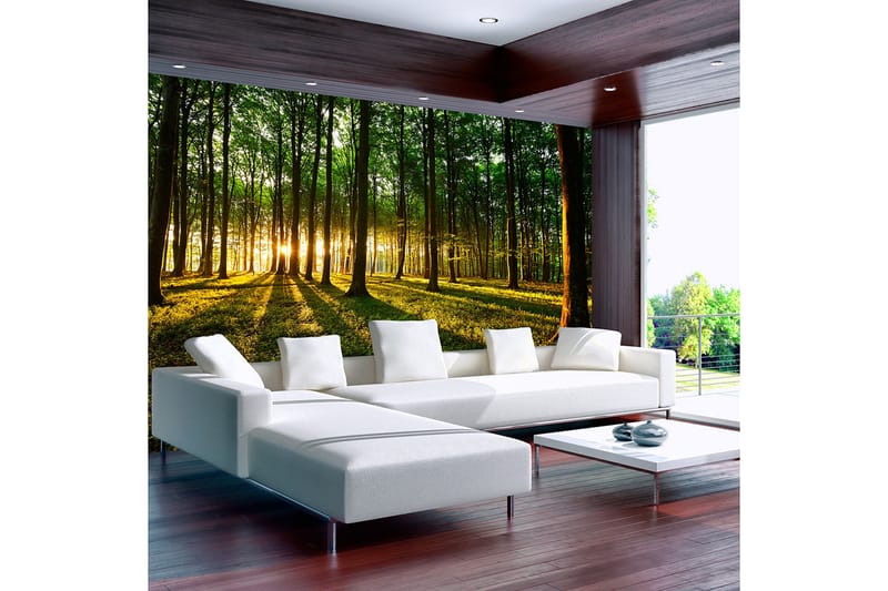 Fototapet Spring Morning In The Forest 250x175 - Artgeist sp. z o. o. - Inredning - Väggdekor - Tapet & tapettillbehör - Fototapet