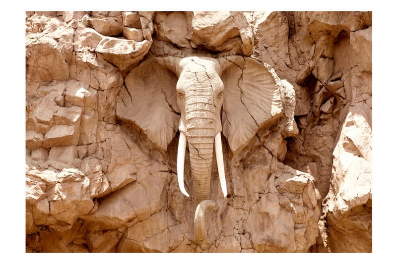 Fototapet Stone Elephant South Africa 350x245 - Artgeist sp. z o. o. - Inredning - Väggdekor - Tapet & tapettillbehör - Fototapet