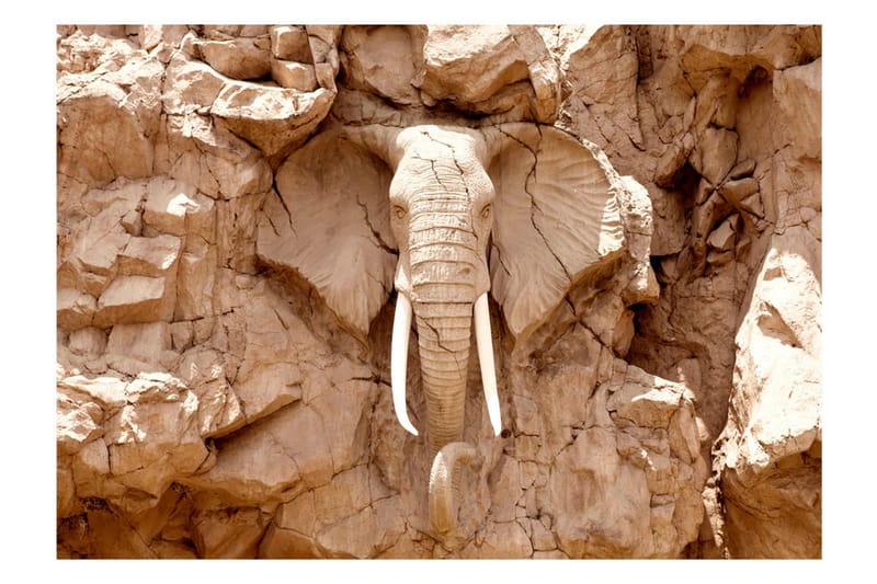 Fototapet Stone Elephant South Africa 350x245 - Artgeist sp. z o. o. - Inredning - Väggdekor - Tapet & tapettillbehör - Fototapet