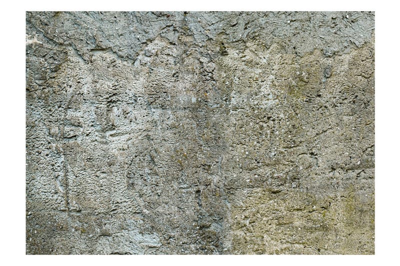 Fototapet Stony Barriere 350x245 - Artgeist sp. z o. o. - Inredning - Väggdekor - Tapet & tapettillbehör - Fototapet