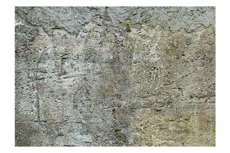 Fototapet Stony Barriere 350x245 - Artgeist sp. z o. o. - Inredning - Väggdekor - Tapet & tapettillbehör - Fototapet