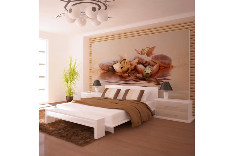 Fototapet Strand Näckros 450x270 - Artgeist sp. z o. o. - Inredning - Väggdekor - Tapet & tapettillbehör - Fototapet