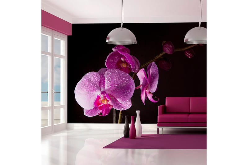 Fototapet Stylish Orchids 200x154, Artgeist sp. z o. o.