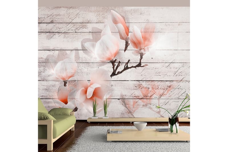 Fototapet Subtlety Of The Magnolia 300x210 - Artgeist sp. z o. o. - Inredning - Väggdekor - Tapet & tapettillbehör - Fototapet