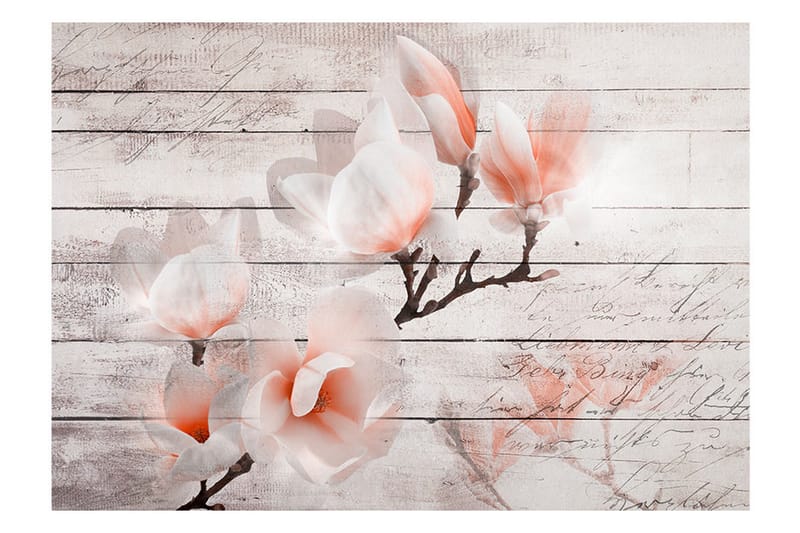 Fototapet Subtlety Of The Magnolia 400x280 - Artgeist sp. z o. o. - Inredning - Väggdekor - Tapet & tapettillbehör - Fototapet