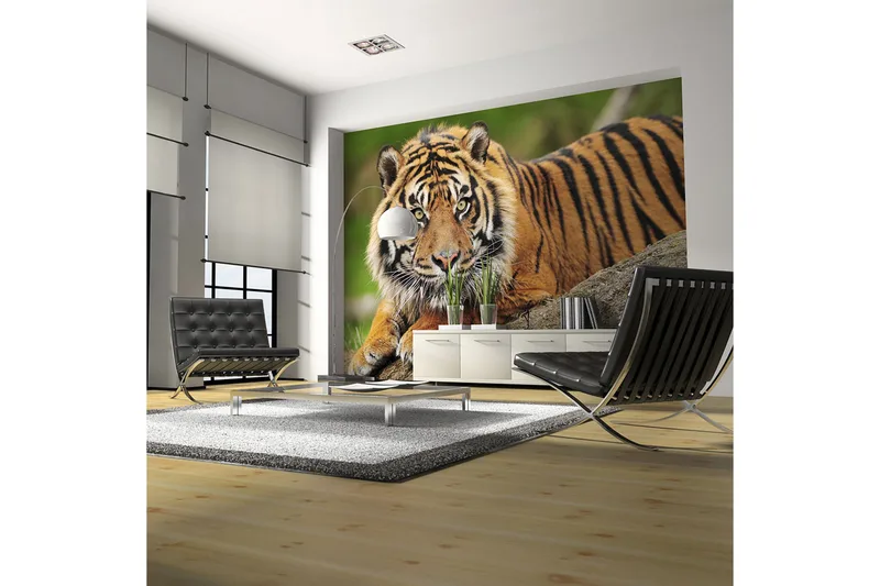 Fototapet Sumatra Tiger 350x270 - Artgeist sp. z o. o. - Inredning - Väggdekor - Tapet & tapettillbehör - Fototapet