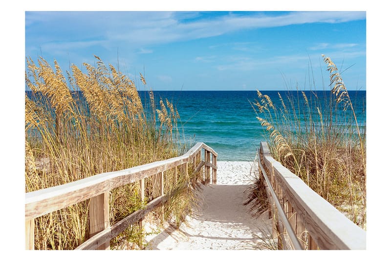 Fototapet Summer At The Seaside 350x245 - Artgeist sp. z o. o. - Inredning - Väggdekor - Tapet & tapettillbehör - Fototapet